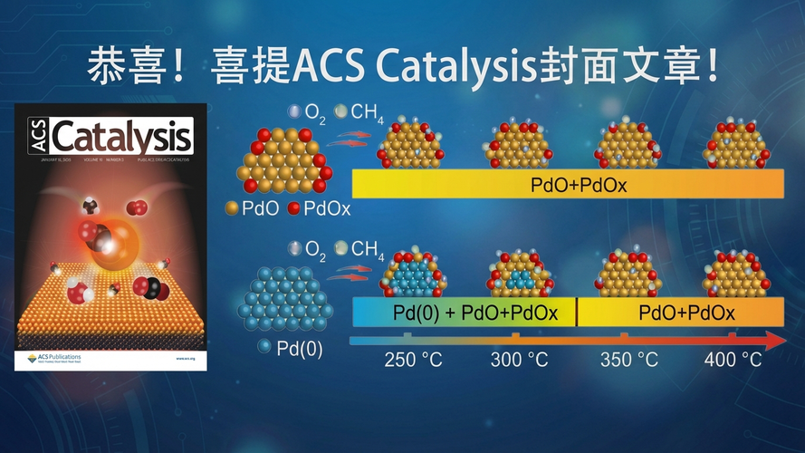 【助力科研】恭喜！喜提ACS Catalysis封面文章！